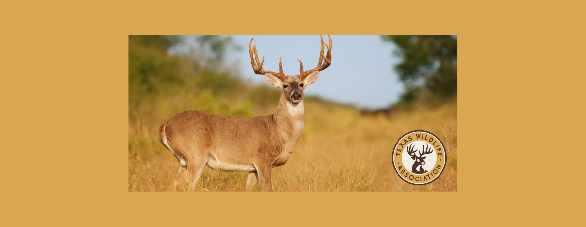 Adult Learn to Hunt Program - 2025-2026